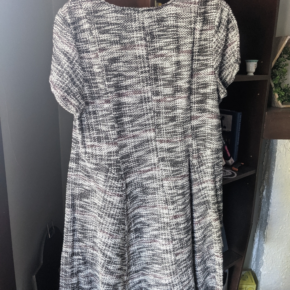 Office dress - Picture 4 of 5
